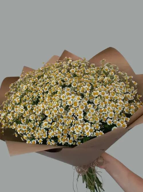 Букет из ромашек | Доставка цветов в Сочи