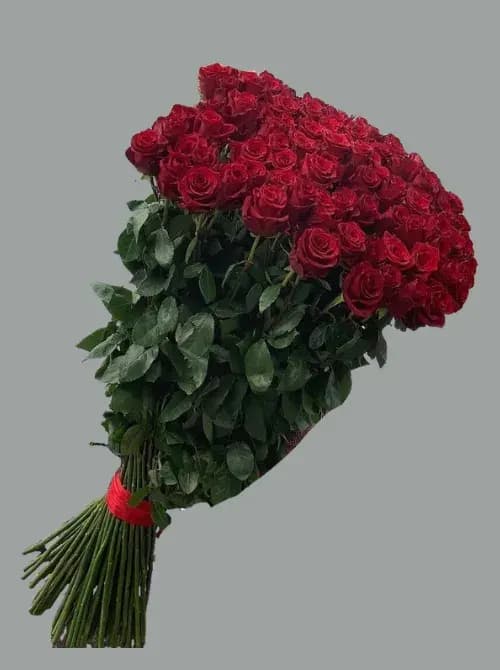 33 красные розы с доставкой в Сочи