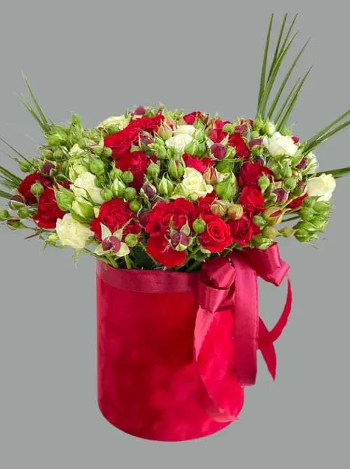 Кустовые розы (25 шт.) в коробке — купить в Сочи