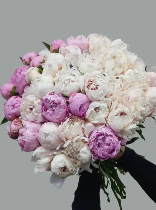Роскошный букет из белых розовых пионов