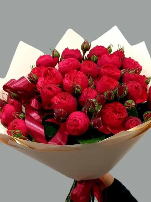 Пионовидные розы (17 шт.) с доставкой в Сочи