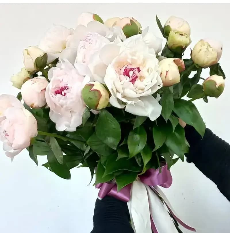 Нежно розовые пионы в букете-купить в Сочи