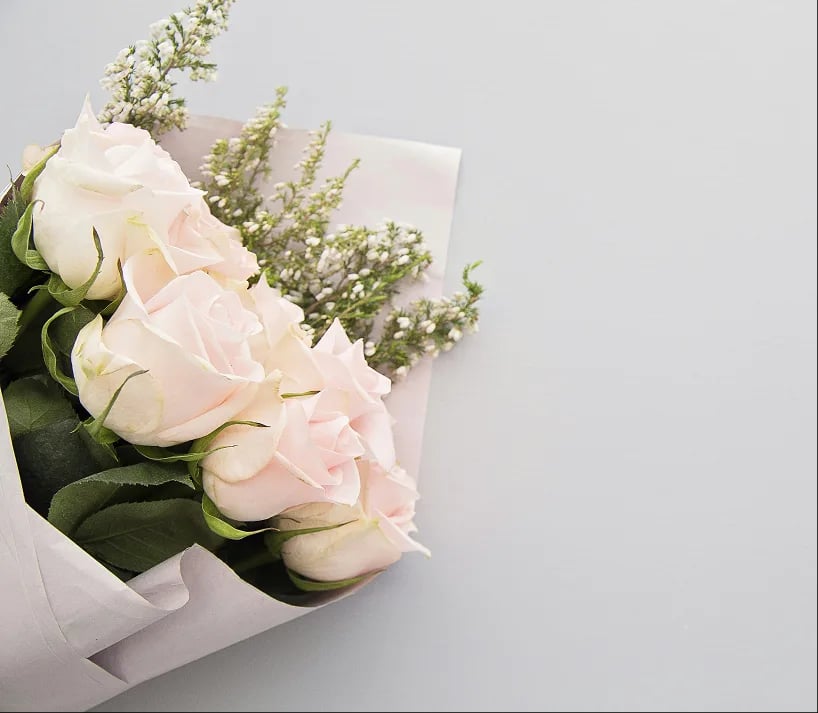 Roses white