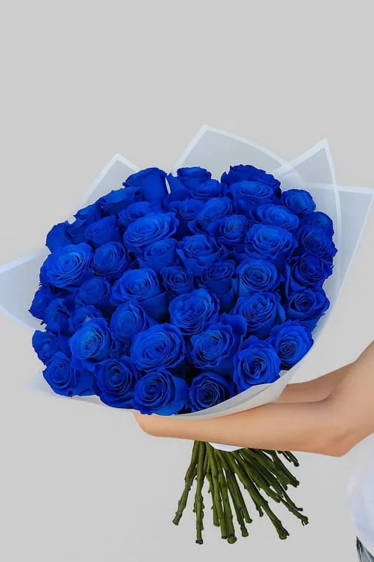 51 синяя роза в Сочи — букет для особенных моментов