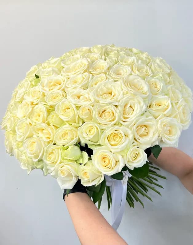 101 белая роза — роскошный букет с доставкой в Сочи