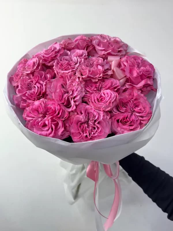 «Голландская Нежность»