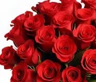 Монобукеты