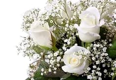 Популярные