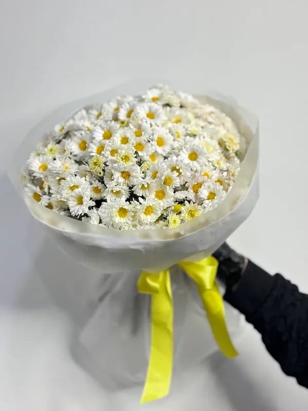 Букет из 39 ромашек в Сочи — нежность в каждом цветке!