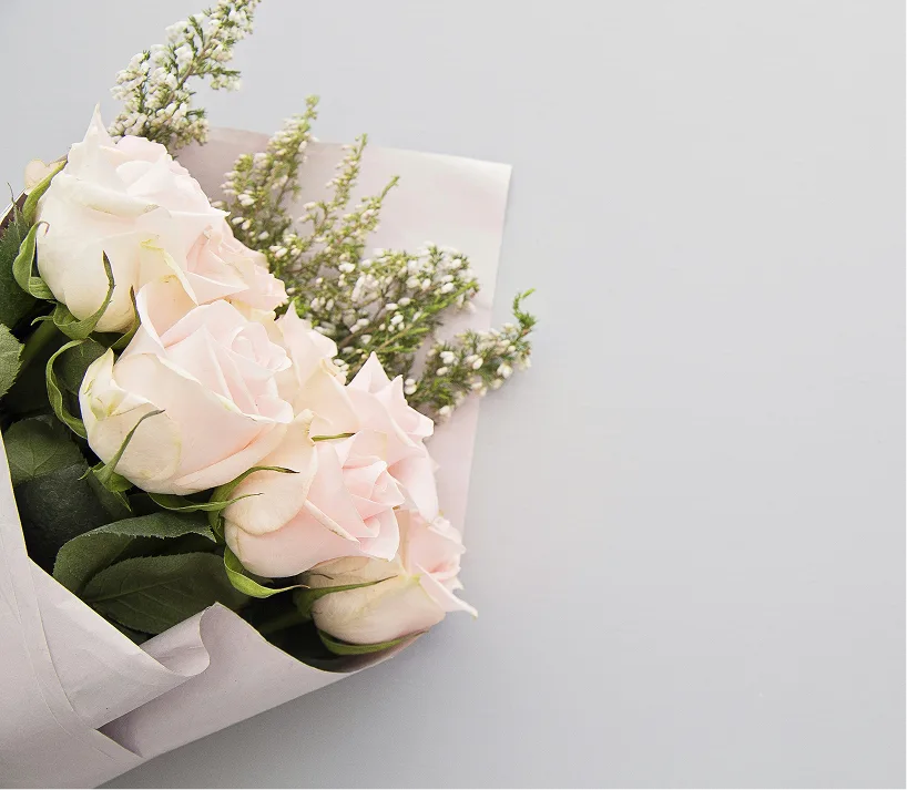 Roses white